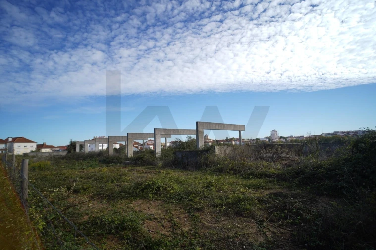Terreno para Venda em Romeira e Várzea Foto 10