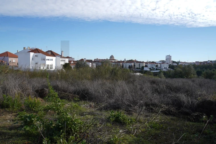 Terreno para Venda em Romeira e Várzea Foto 18