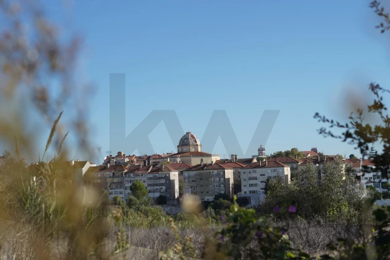 Terreno para Venda em Romeira e Várzea Foto 5