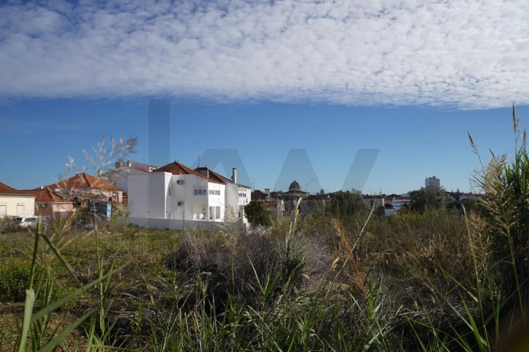 Terreno para Venda em Romeira e Várzea Foto 19