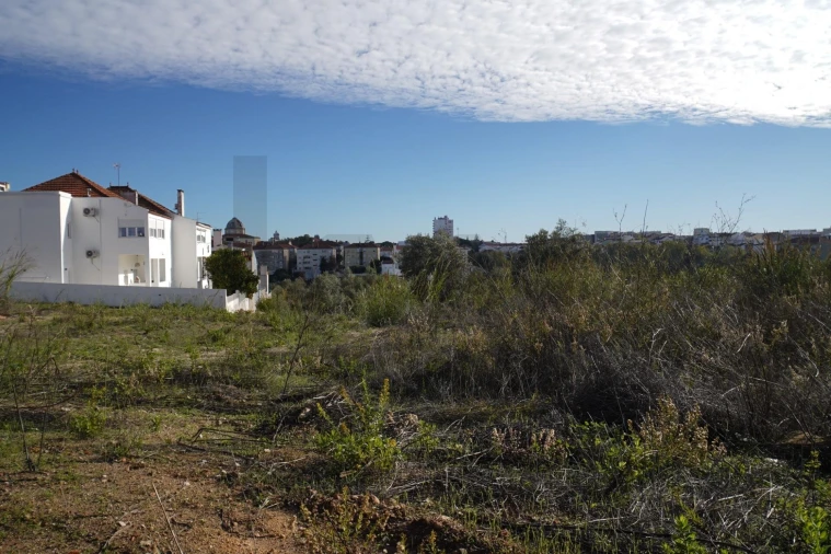 Terreno para Venda em Romeira e Várzea Foto 20