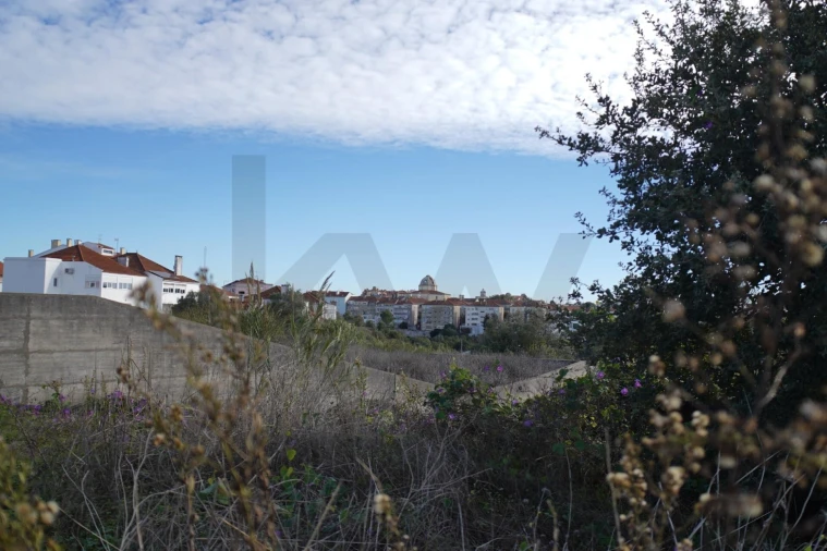 Terreno para Venda em Romeira e Várzea Foto 17