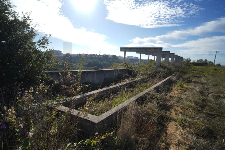 Terreno para Venda em Romeira e Várzea Foto 29