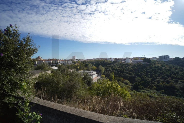 Terreno para Venda em Romeira e Várzea Foto 27