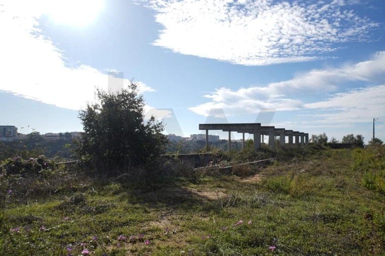 Terreno para Venda em Romeira e Várzea Foto 24