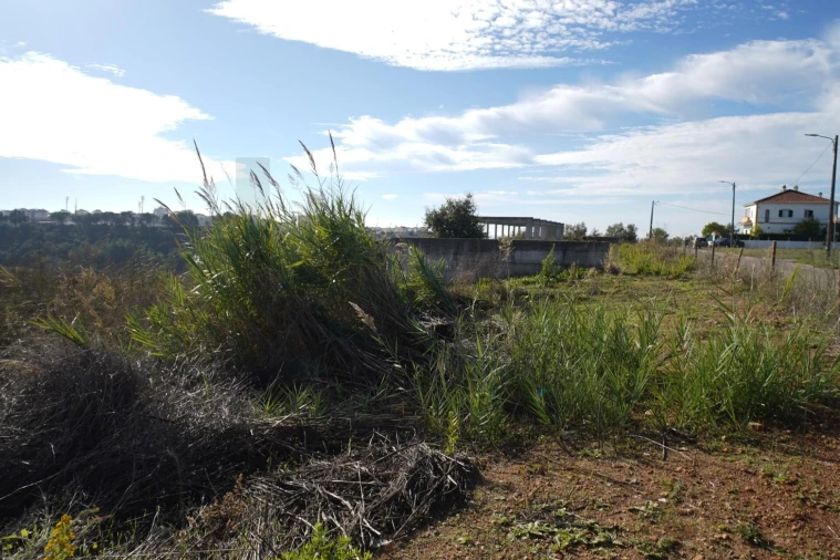 Terreno para Venda em Romeira e Várzea Foto 23