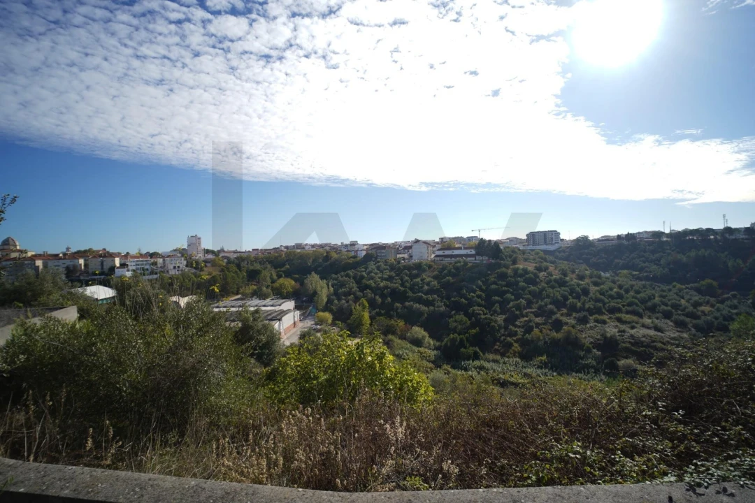 Terreno para Venda em Romeira e Várzea Foto 26