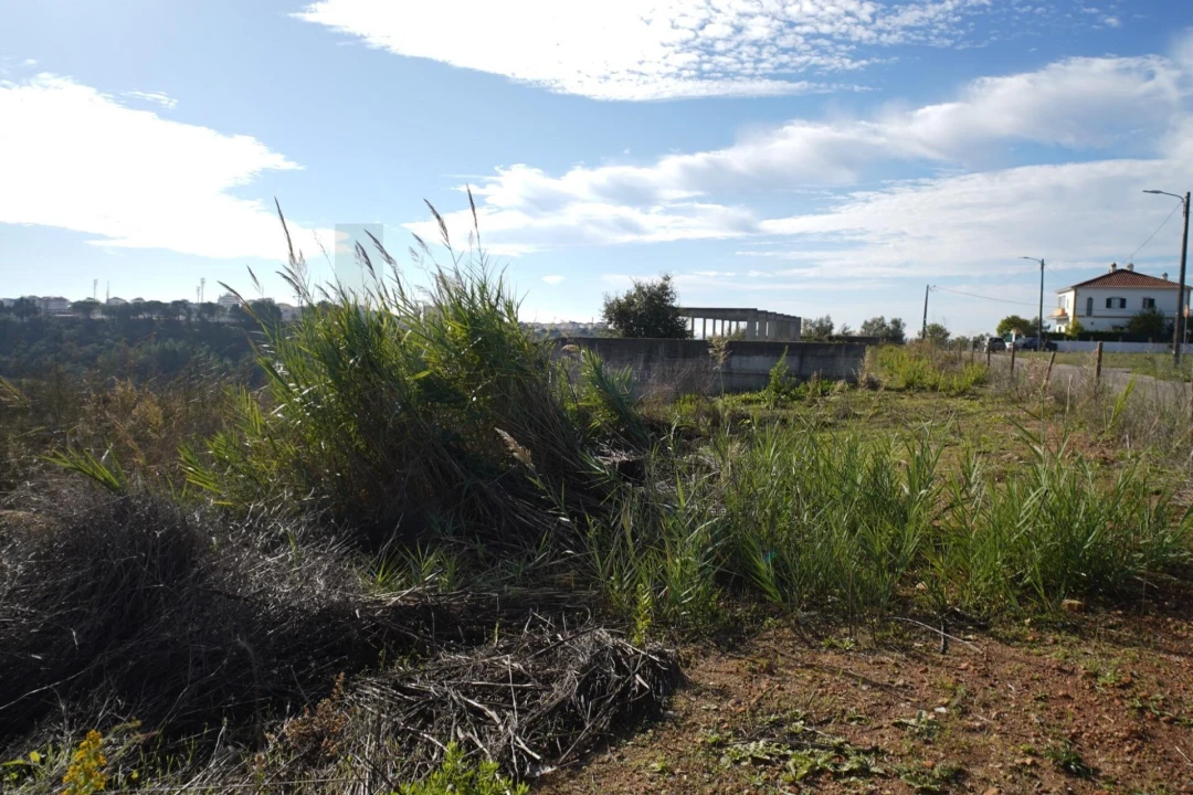 Terreno para Venda em Romeira e Várzea Foto 23