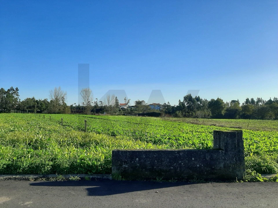 Terreno para Venda em Ovar, São João, Arada e São Vicente de Pereira Jusã Foto 10