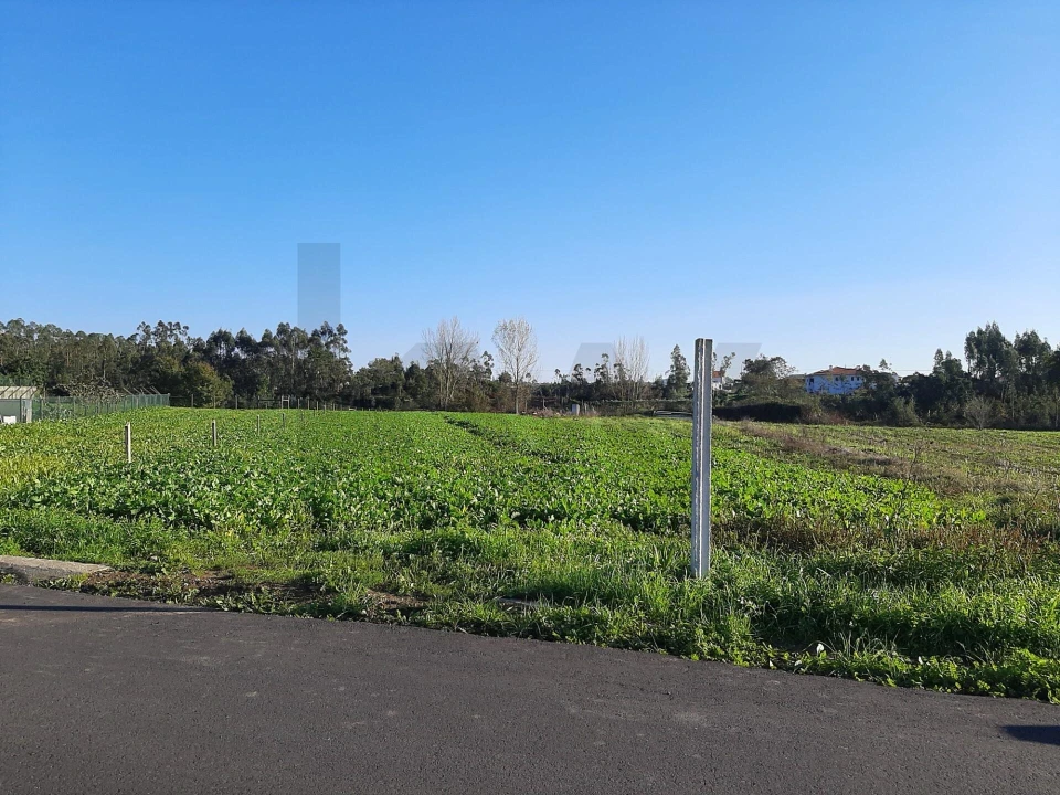 Terreno para Venda em Ovar, São João, Arada e São Vicente de Pereira Jusã Foto 2