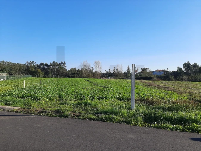 Terreno para Venda em Ovar, São João, Arada e São Vicente de Pereira Jusã Foto 2