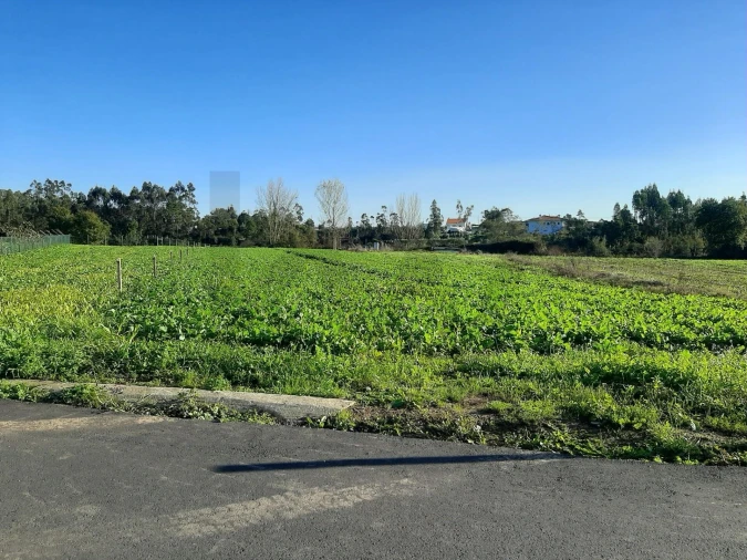 Terreno para Venda em Ovar, São João, Arada e São Vicente de Pereira Jusã Foto 4