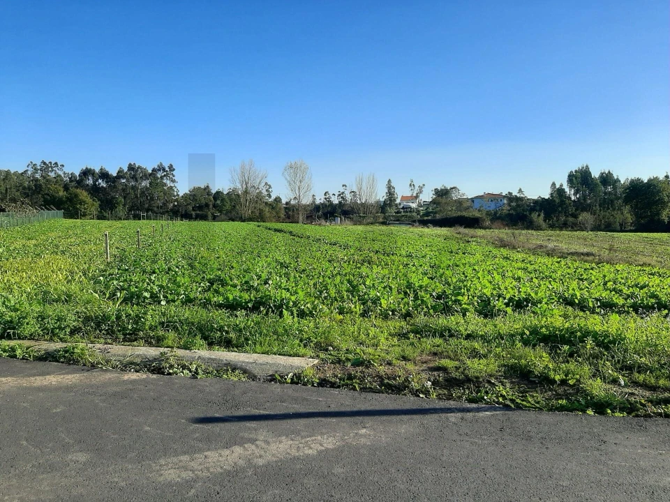 Terreno para Venda em Ovar, São João, Arada e São Vicente de Pereira Jusã Foto 4