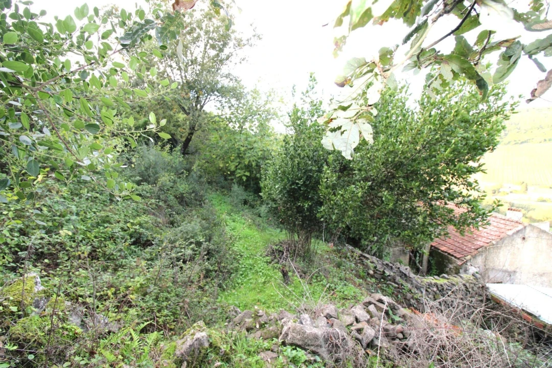 Moradia para Venda em Santo Quintino Foto 30