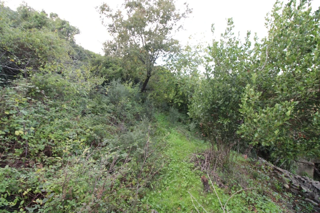 Moradia para Venda em Santo Quintino Foto 32