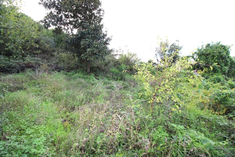 Moradia para Venda em Santo Quintino Foto 22