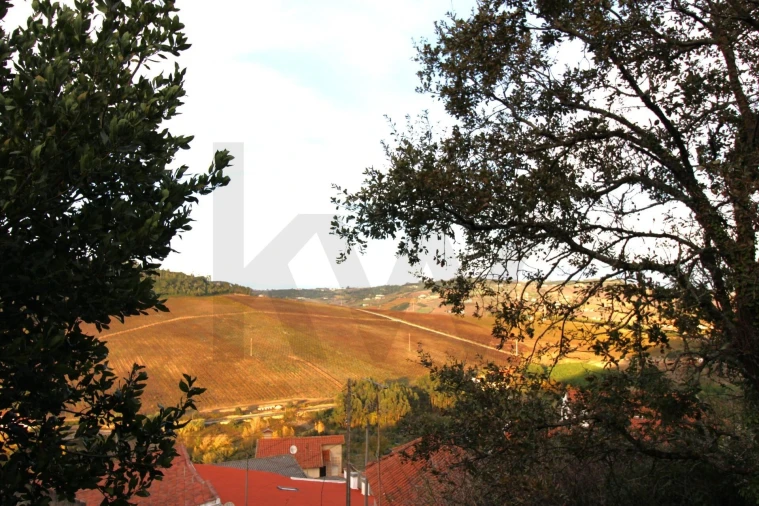 Moradia para Venda em Santo Quintino Foto 36