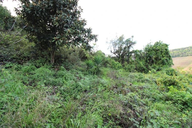 Moradia para Venda em Santo Quintino Foto 23