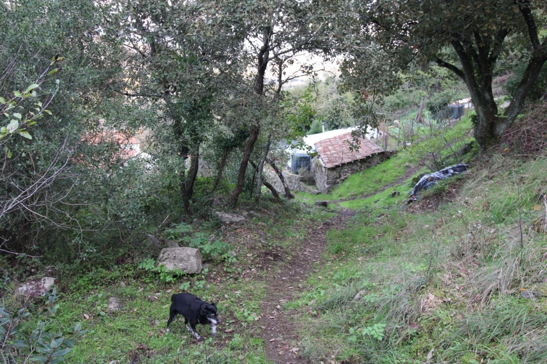 Moradia para Venda em Santo Quintino Foto 33