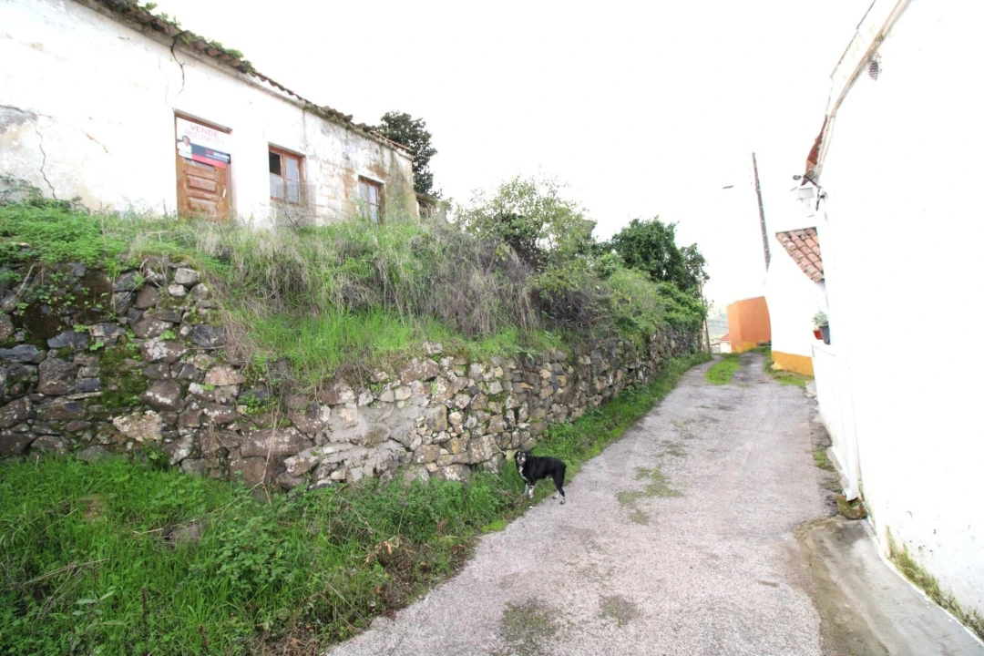 Moradia para Venda em Santo Quintino Foto 4