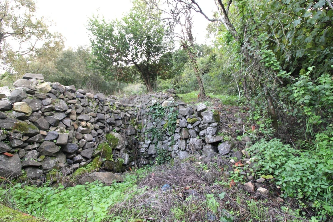 Moradia para Venda em Santo Quintino Foto 34