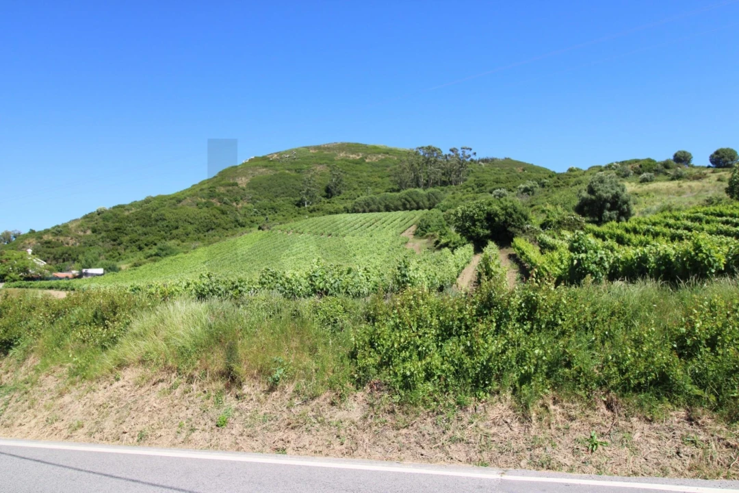 Moradia para Venda em Santo Quintino Foto 1