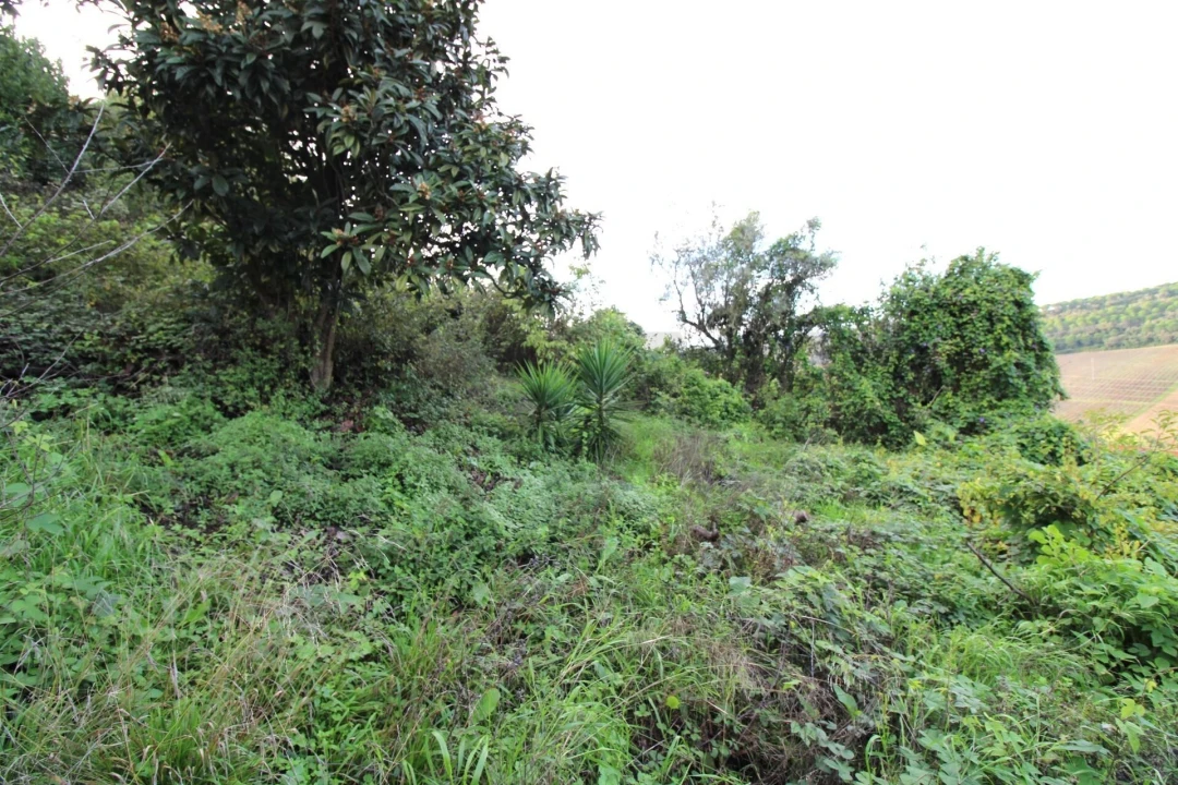 Moradia para Venda em Santo Quintino Foto 23