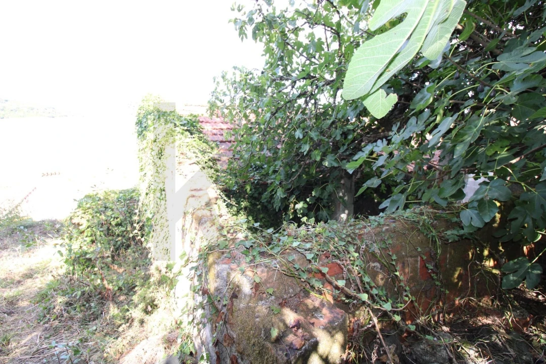 Moradia para Venda em Santo Quintino Foto 18