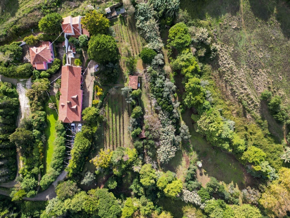 Quinta T5 para Venda em São João das Lampas e Terrugem Foto 17