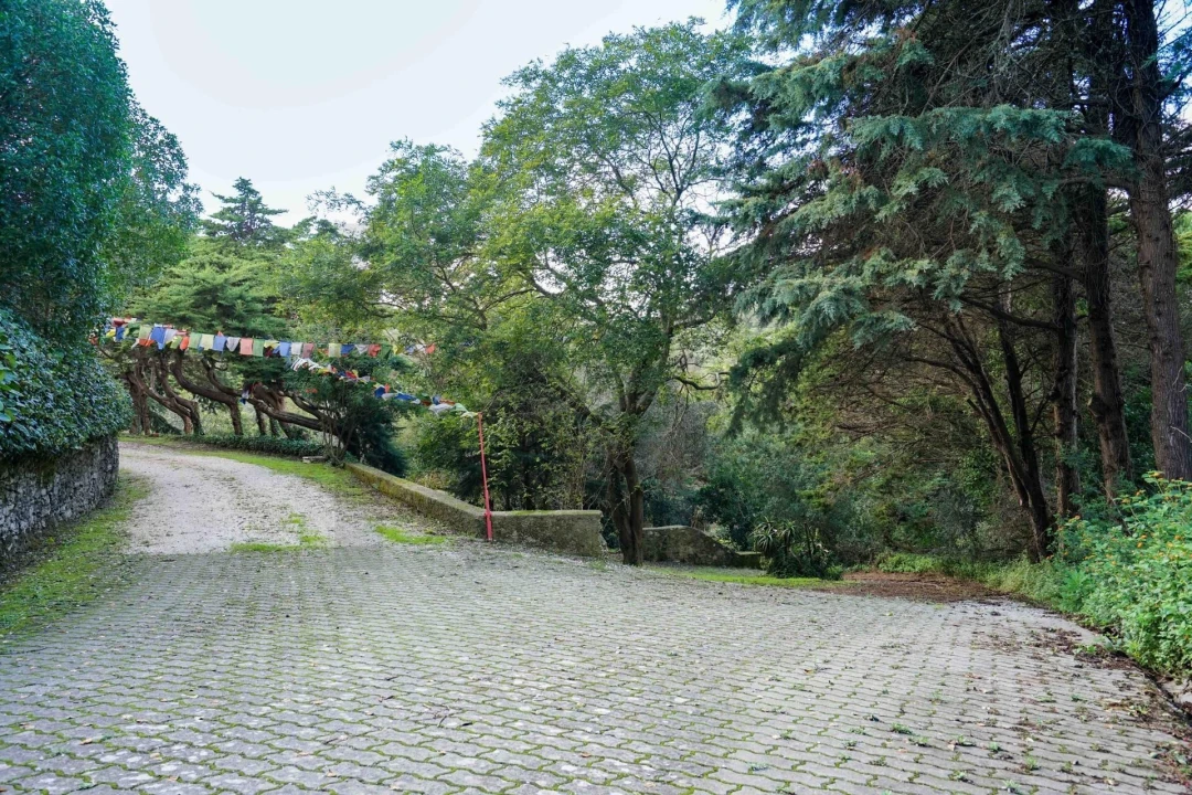 Quinta T5 para Venda em São João das Lampas e Terrugem Foto 76