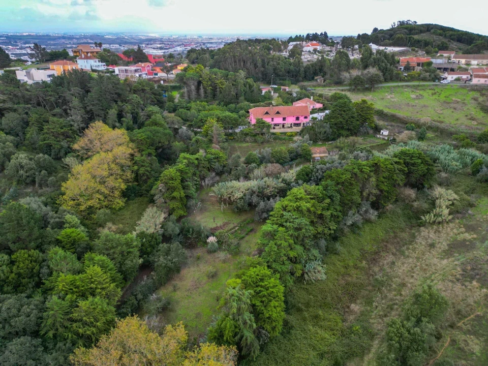 Quinta T5 para Venda em São João das Lampas e Terrugem Foto 10