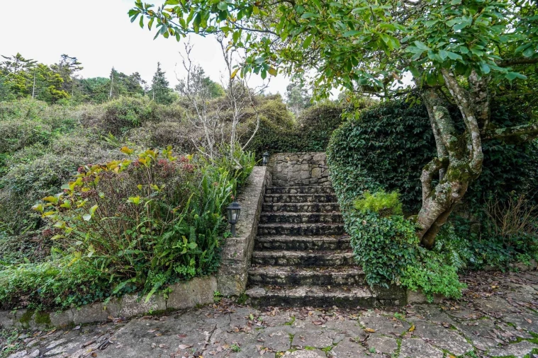 Quinta T5 para Venda em São João das Lampas e Terrugem Foto 57