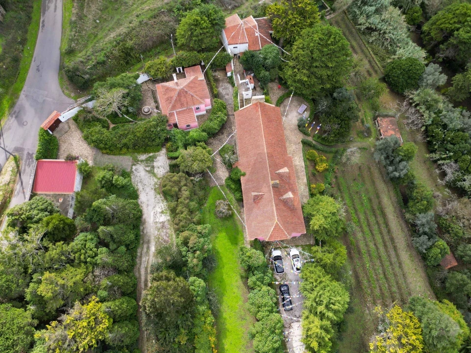 Quinta T5 para Venda em São João das Lampas e Terrugem Foto 15