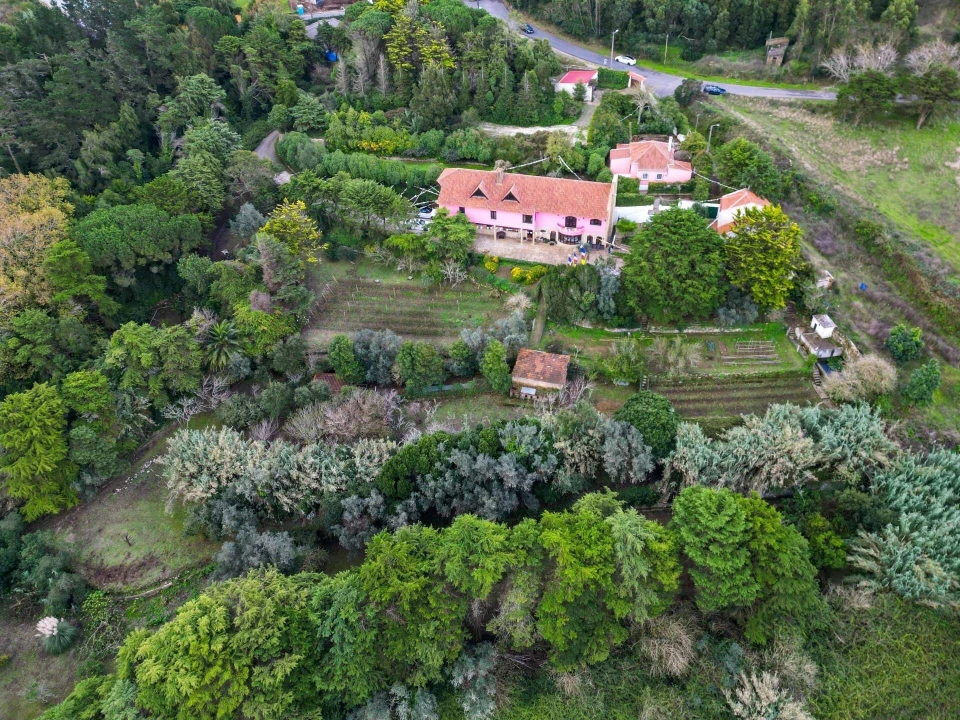 Quinta T5 para Venda em São João das Lampas e Terrugem Foto 12