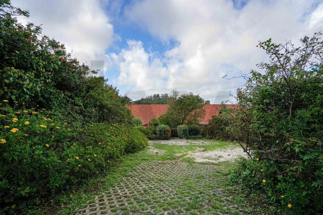 Quinta T5 para Venda em São João das Lampas e Terrugem Foto 59