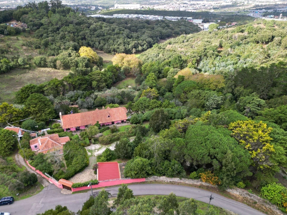 Quinta T5 para Venda em São João das Lampas e Terrugem Foto 4