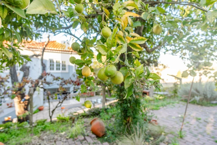 Moradia T6 para Venda em Palmela Foto 43