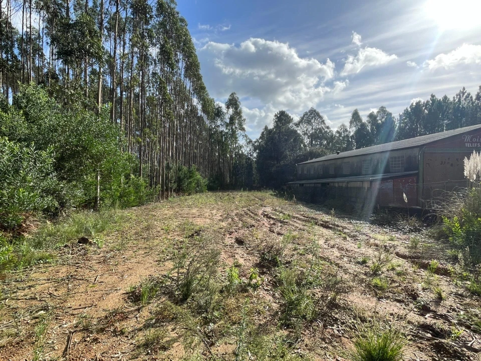 Terreno para Venda em Santa Maria da Feira, Travanca, Sanfins e Espargo Foto 4