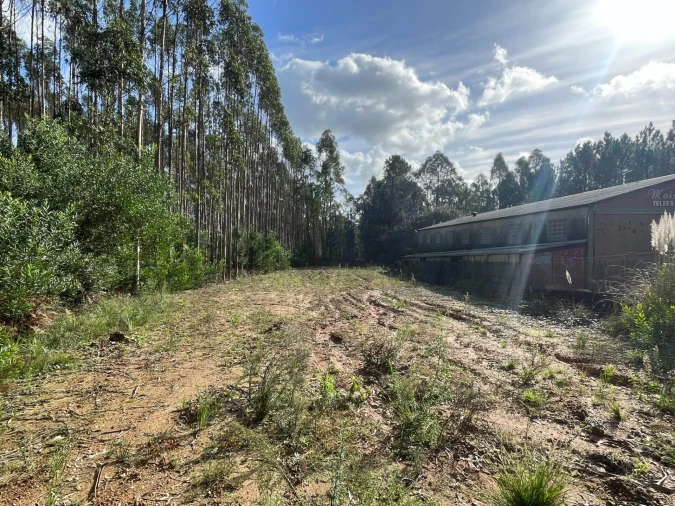 Terreno para Venda em Santa Maria da Feira, Travanca, Sanfins e Espargo Foto 4