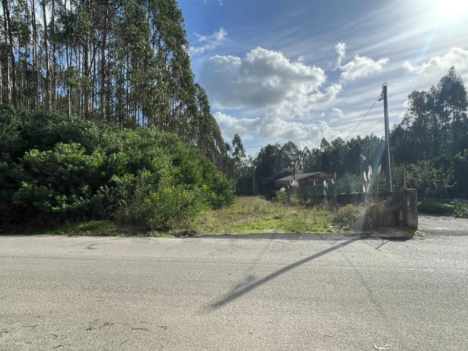 Terreno para Venda em Santa Maria da Feira, Travanca, Sanfins e Espargo Foto 2