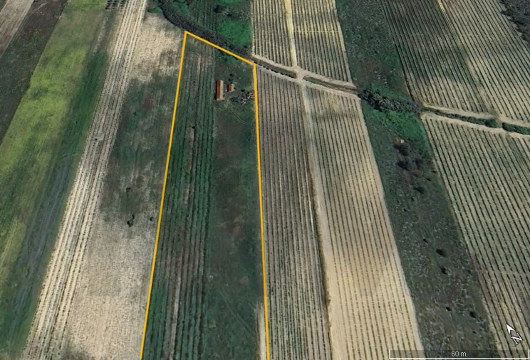 Terreno para Venda em Alpiarça Foto 2