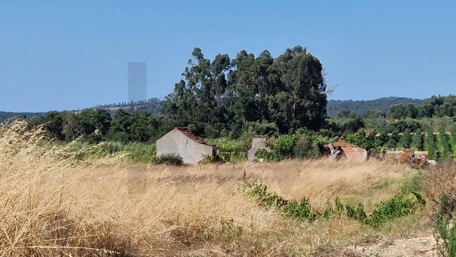 Terreno para Venda em Alpiarça Foto 6