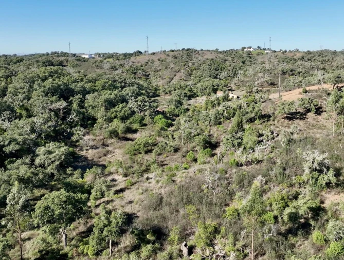 Quinta T3 para Venda em Santiago do Cacém, Santa Cruz e São Bartolomeu da Serra Foto 15
