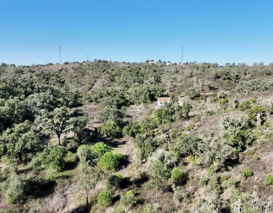 Quinta T3 para Venda em Santiago do Cacém, Santa Cruz e São Bartolomeu da Serra Foto 14