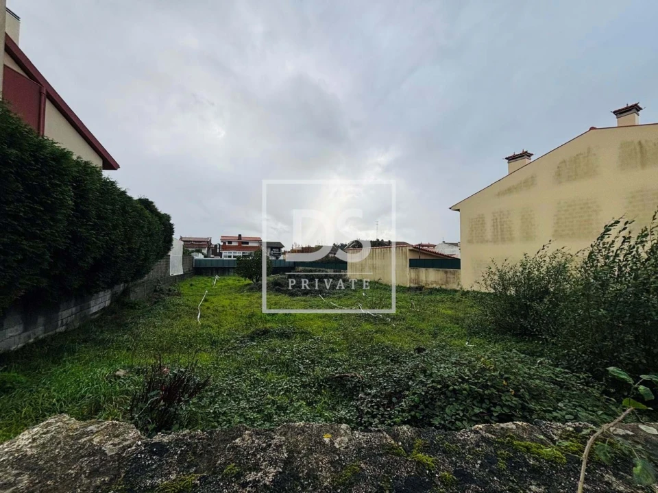 Terreno para Venda em Folgosa Foto 2