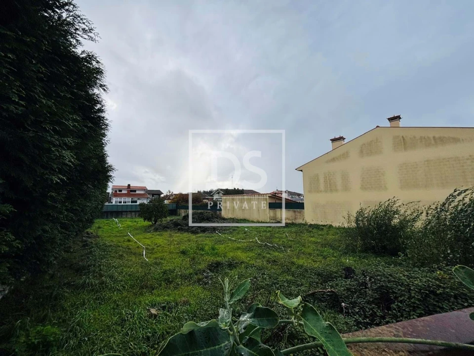 Terreno para Venda em Folgosa Foto 1