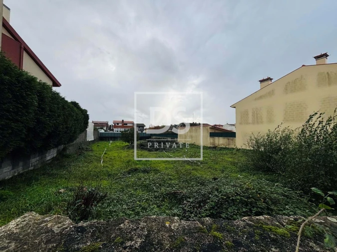 Terreno para Venda em Folgosa Foto 2