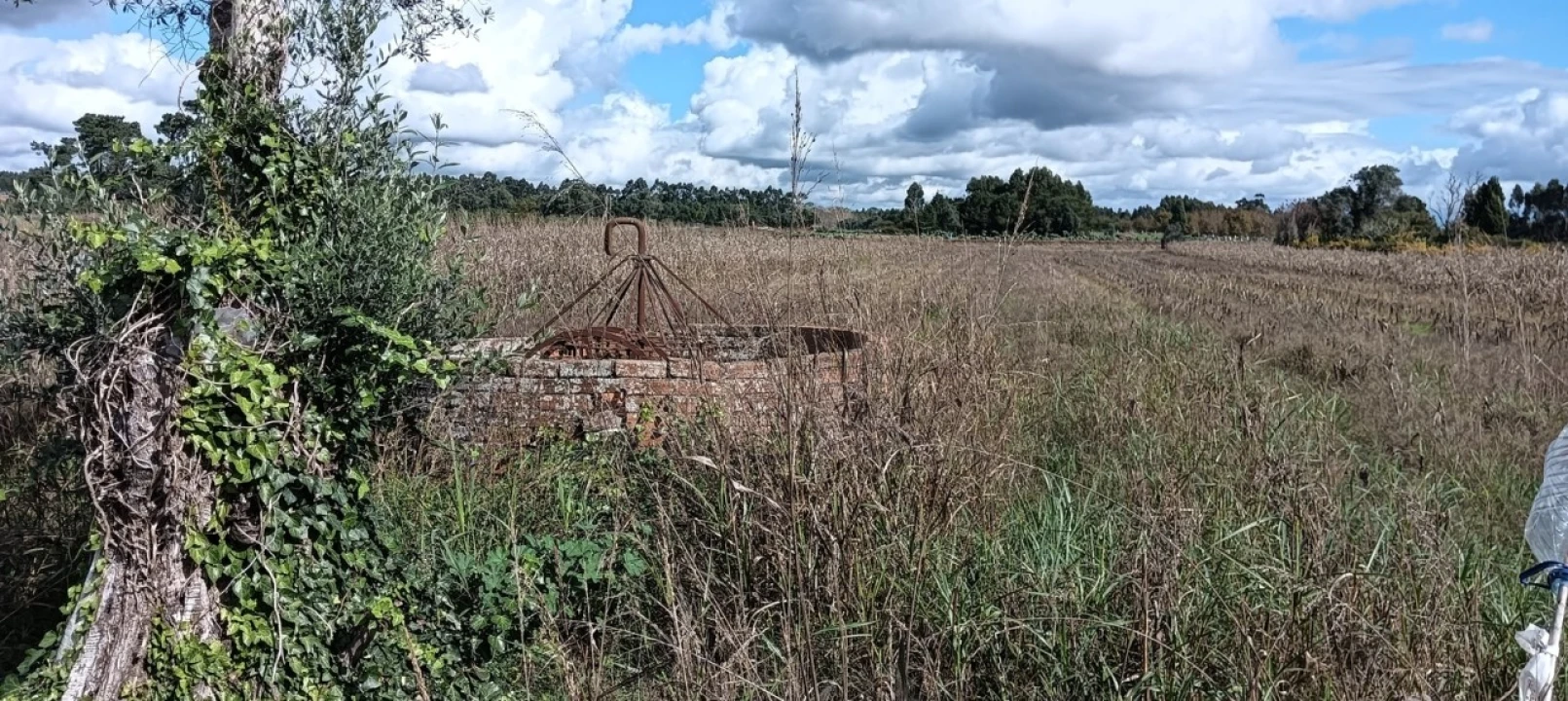 Terreno para Venda em Ouca Foto 15
