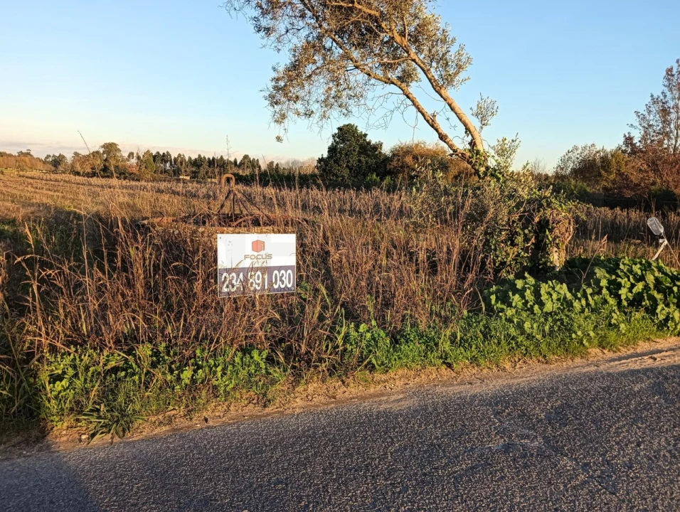 Terreno para Venda em Ouca Foto 23