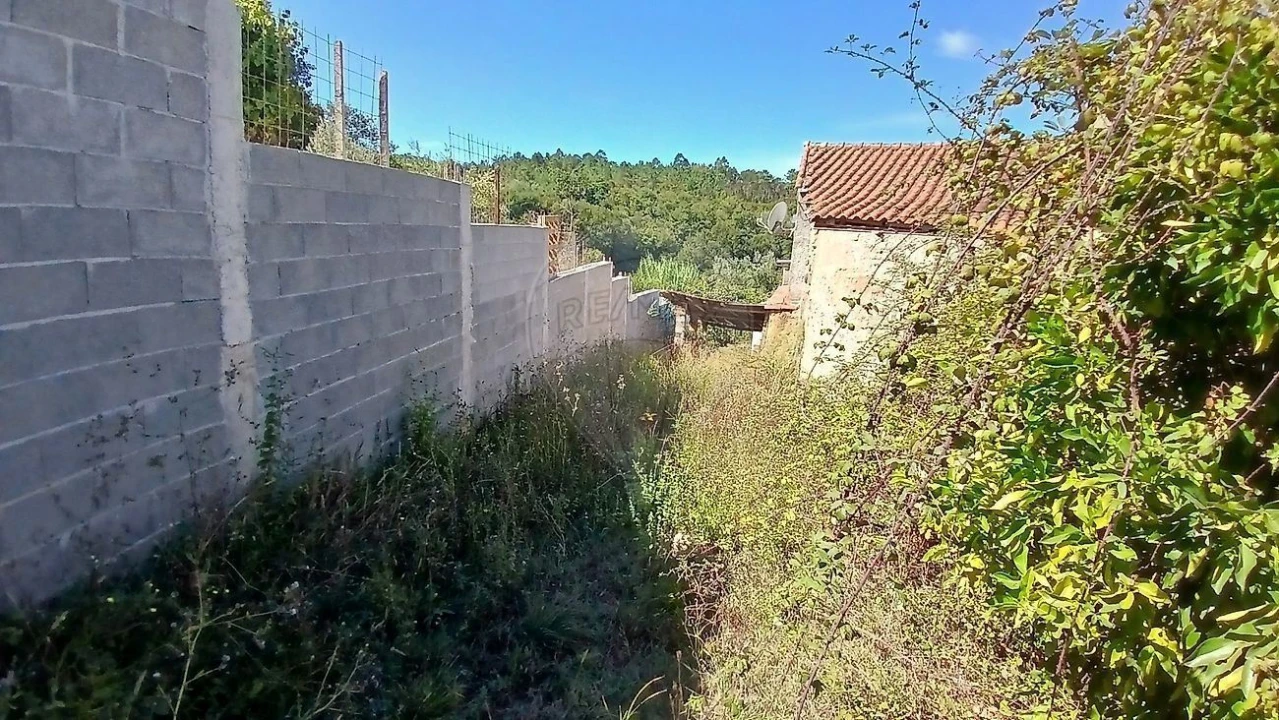 Moradia T3 para Venda em Semide e Rio Vide Foto 16